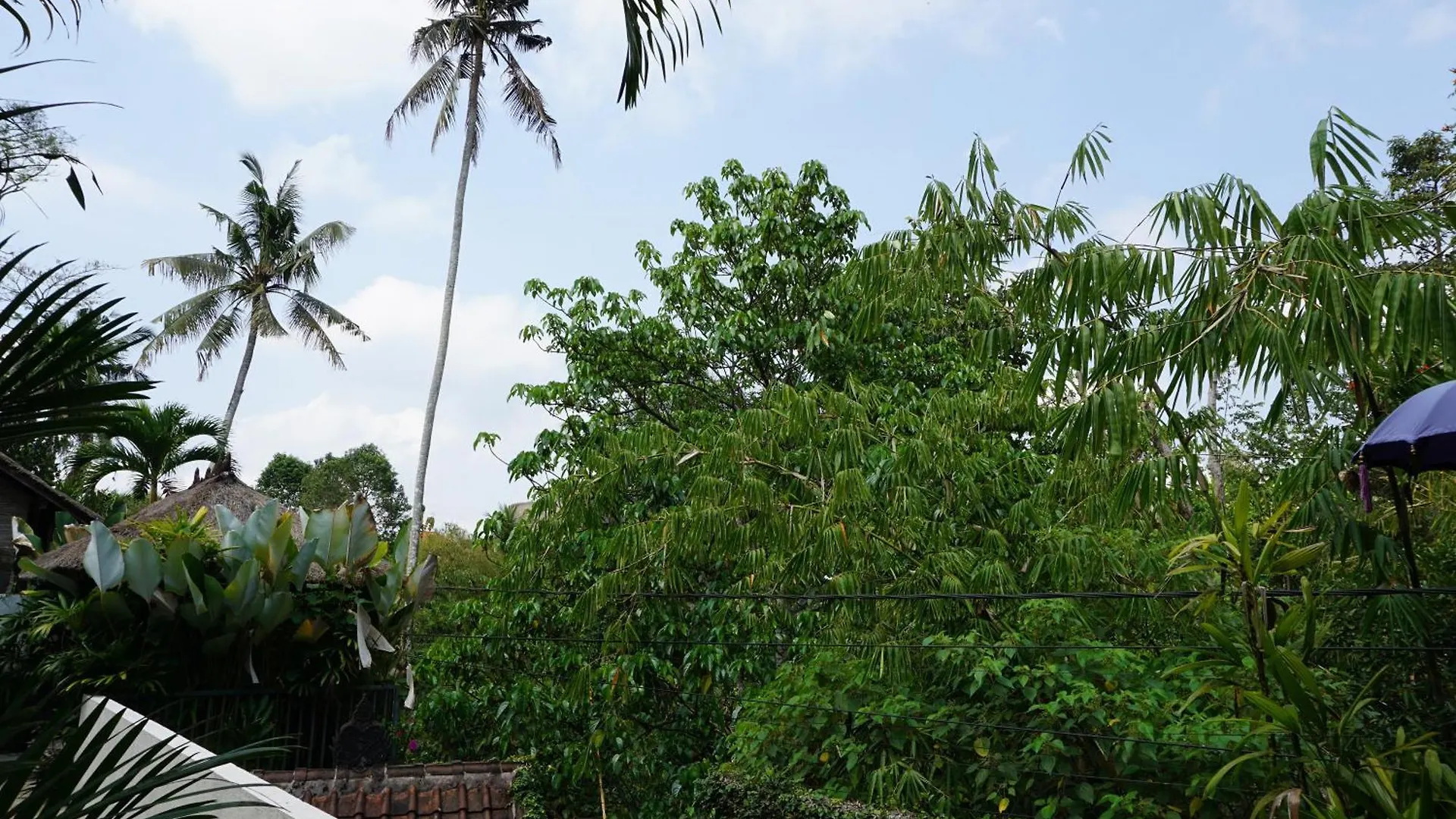 Villa Indah Ubud 0*,  Indonésie